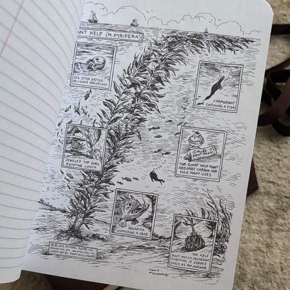 Decomposition notebook - Picture 5 of 5